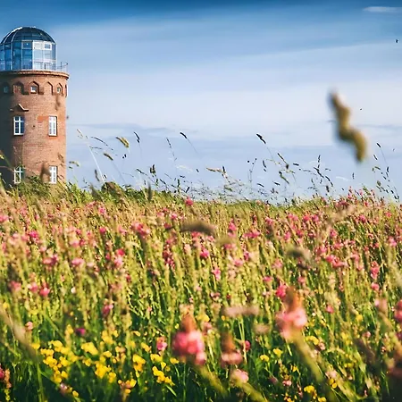 Reetdachhaeuser Gegenueber Hiddensee
